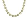 Mother of Pearl - Champagne Necklace Only
