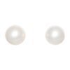 White Mother of Pearl Earrings