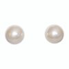 Creamy White Mother of Pearl Earrings