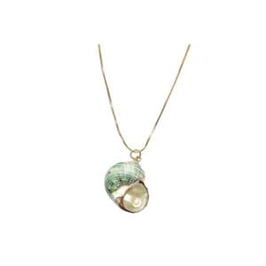 Green seashell pendant on gold chain.