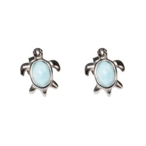 Turtle-shaped earrings with blue stones.