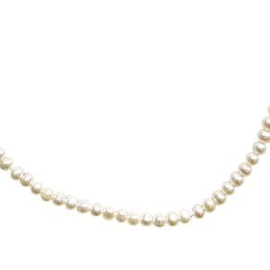 Pearl necklace on white background.
